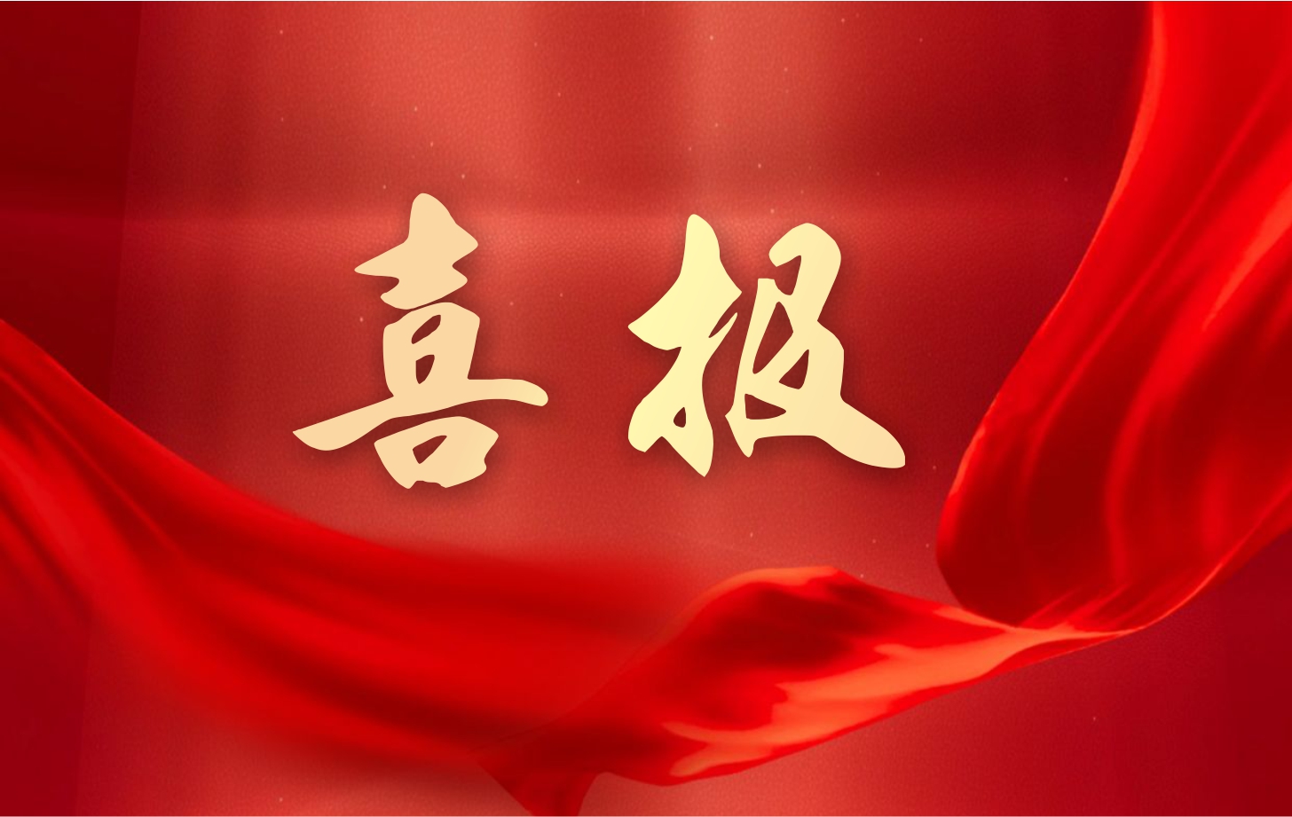 營(yíng)收凈利雙增長(zhǎng)！依頓電子2025年一季度經(jīng)營(yíng)業(yè)績(jī)續(xù)寫高質(zhì)量發(fā)展華章